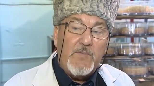 Хлебокомбинат тат смотреть онлайн