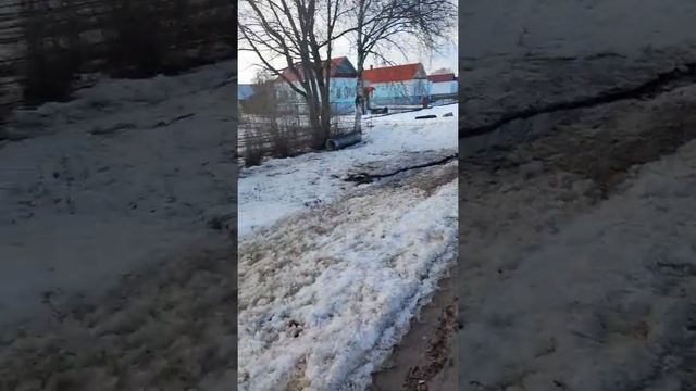 Прослушка Dl Audio Gryphon pro 200 смотреть онлайн