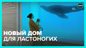 В зоопарке открыли павильон «Ластоногие» - Москва 24