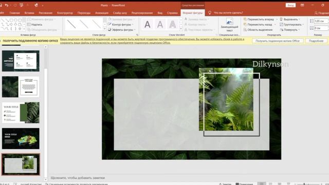 Aesthetic Nature Theme PowerPoint Presentation | FREE TEMPLATE смотреть онлайн