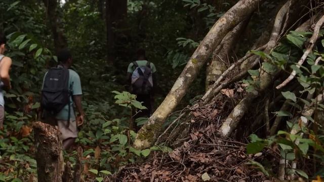 Spiritual Initiation Rituals Of The Gabon Rainforest