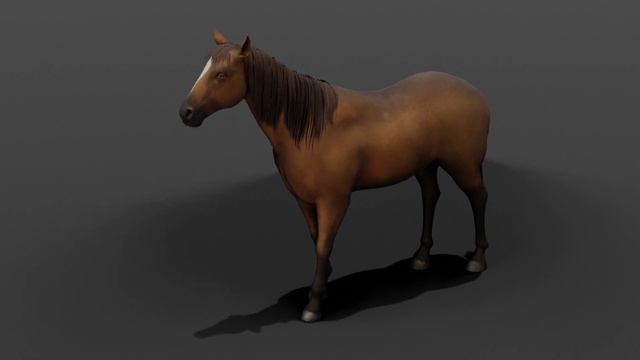 Animated Horse 3D Model смотреть онлайн