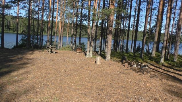 В Карелию сквозь карантин ч 5 (заключительная) смотреть онлайн