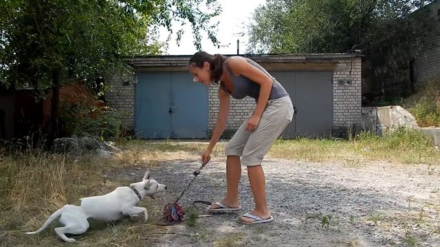 FSCN9617 смотреть онлайн