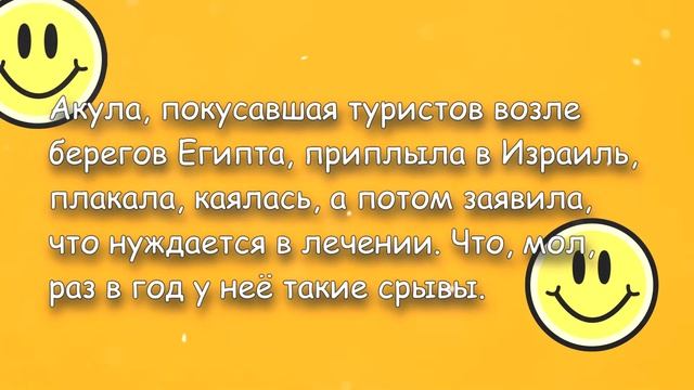 Анекдоты! Подборка из самых смешных, которые поднимут настроение! #17 смотреть онлайн