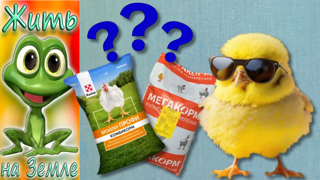 Молодняк Кобб-500. Пурина или Мегакорм? Эксперимент.