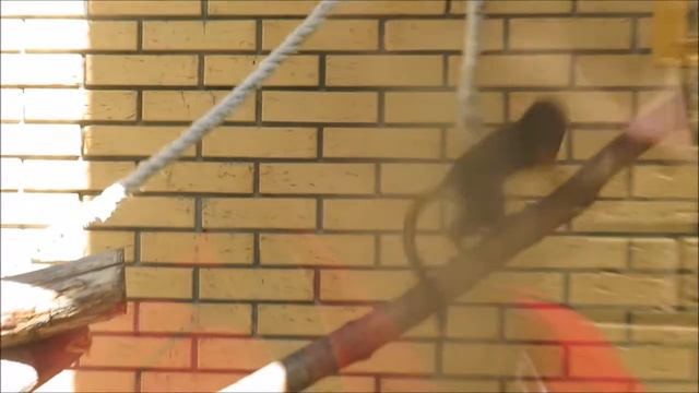 Золотистоголовые тамарины на улице и в павильоне 06.06.2022 смотреть онлайн