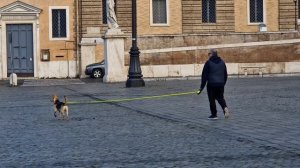 Рим, 2023г. Утренняя прогулка по Риму для тех кто любит тишину