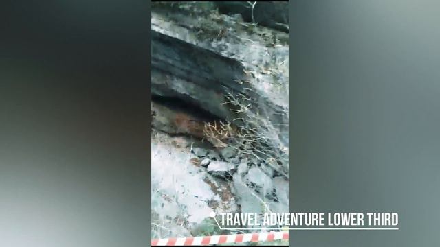 Путешествие-5