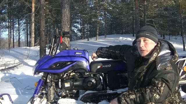 Честный Обзор Снегохода Динго Т-150. По глубокому снегу, все Плюсы и Минусы. смотреть онлайн