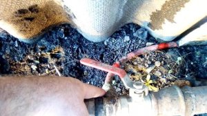 Теплый Грунт в Теплице/Система Теплого Пола/