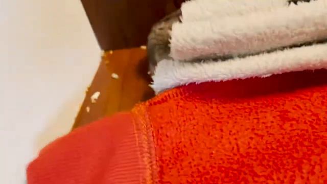 Ну что можно было сделать в этот раз с его возможностями смотреть онлайн