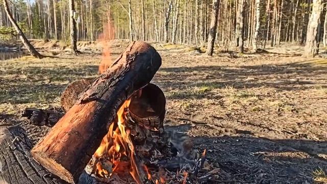 Река Белый Лух 2020 май смотреть онлайн