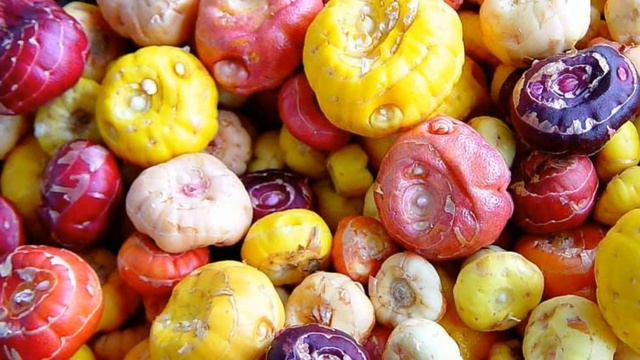 Гладиолусы - готовим на хранение смотреть онлайн