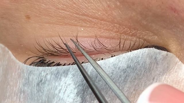 Мастер класс по наращиванию нижних ресниц смотреть онлайн