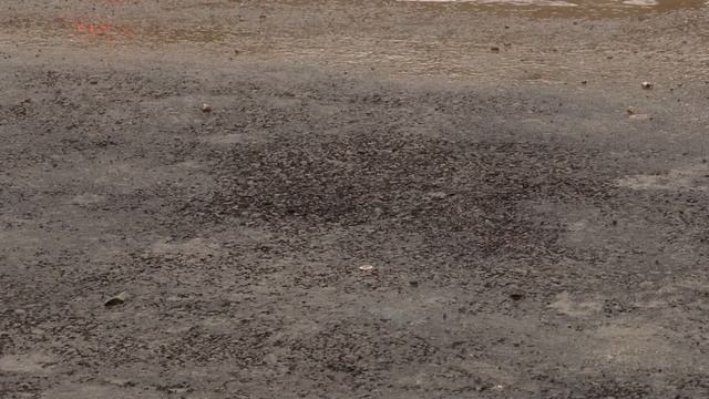 Завершена реконструкция смотреть онлайн