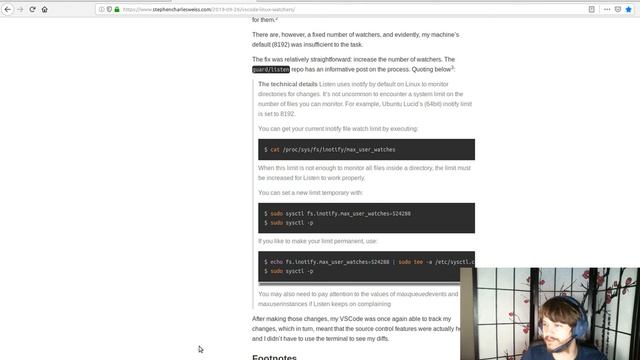 Running out of FSWatchers when running Vue app in development server смотреть онлайн