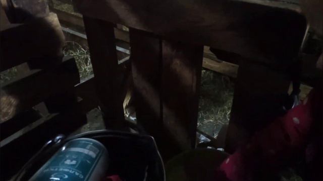 Зеленка радует, козел работает, настроение хорошее.