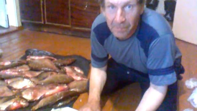 Отец чистит рыбу. смотреть онлайн