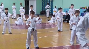 Тхэквондо . Сдача экзамена на белый пояс 10 cup. Ion Dobrovolschi 7 лет