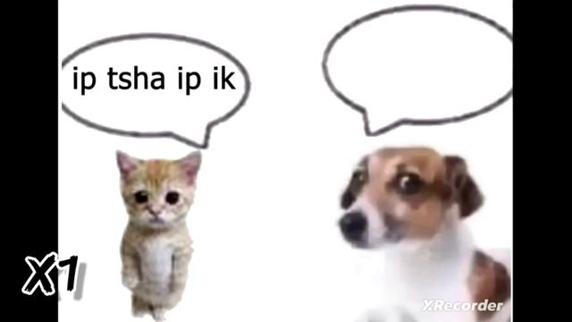 Tur Ip Ip Ip на разных скоростях.