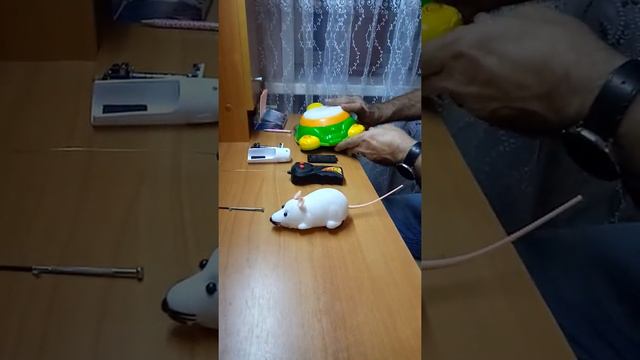 Мышь не работает смотреть онлайн