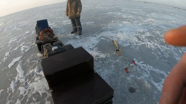 Мотобуксировщик Paxus 550 7 лет. Доработки и эксплуатация. смотреть онлайн