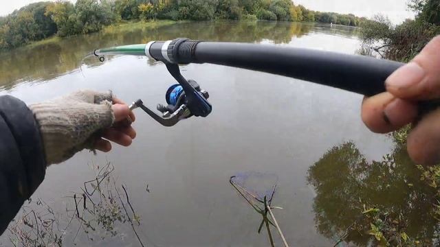 В страшном сне не мог представить что упущу такого Леща. смотреть онлайн