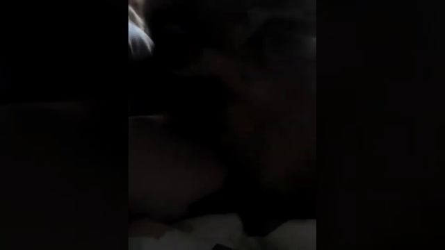 Шпиц по имени Диана любит чтобы ей чесали пузика