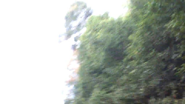 По дороге через нац. парк Фукуока смотреть онлайн