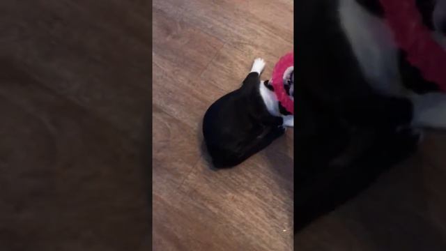 C7046B96 2BED 4D5A B804 9DBA282CD545 смотреть онлайн