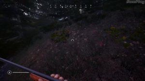 Hunting Simulator 2 #2 Охота на медведя