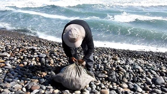 Vea Como El Hombre De Mar Alimenta A Un Viejo PELÍCANO