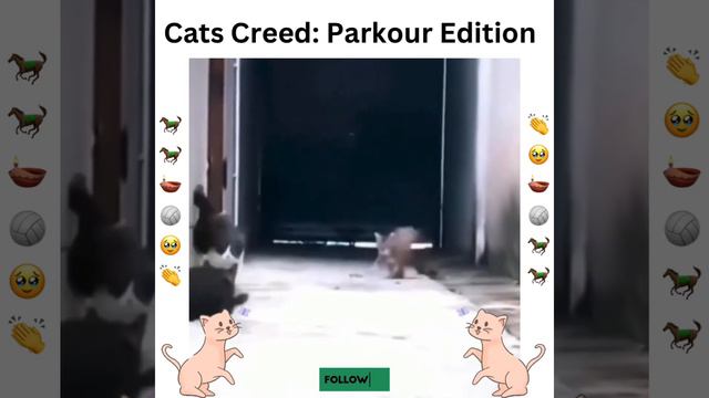 Cats Creed: Parkour Edition смотреть онлайн