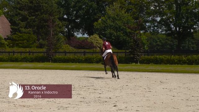 13 Oracle (Kannan x Indoctro 2016) смотреть онлайн