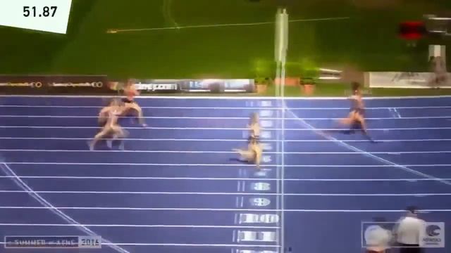 Чемпионы против мяса.