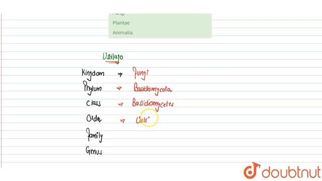 Ustilago is a member of kingdom | 12 | KINGDOM FUNGI-MULTICELLULAR DECOMPOSERS | BIOLOGY | DINE... смотреть онлайн