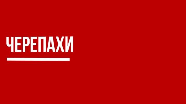 Самые Старые Животные в Мире, Которые До Сих Пор Живы смотреть онлайн