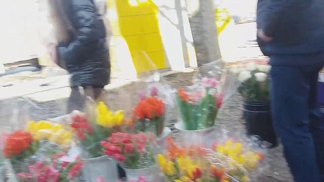 Кривой Рог 8 марта с праздником любимые женщины ! смотреть онлайн