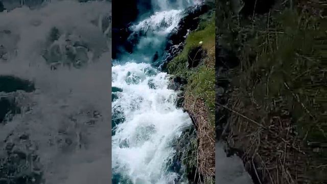 Very fresh fresh water sweet sweet water in my beautiful village plz subscribe for help us смотреть онлайн