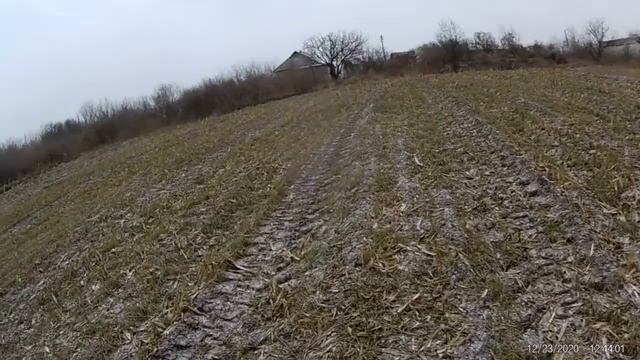 Купил землю под пасеку.