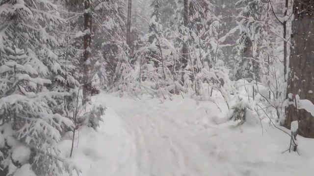 Стих про Бога (коллаборация с Koan) смотреть онлайн