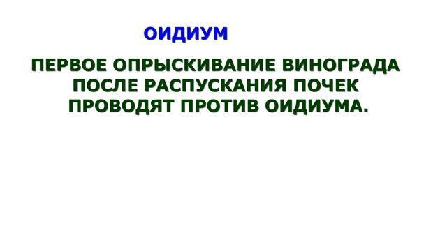 @Защита винограда после распускания глазков смотреть онлайн