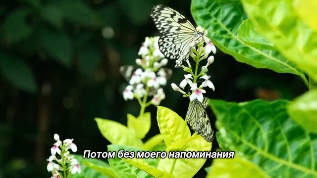 "Отпустить с любовью". 17 августа. Сегодня-лучший путь. Ежедневник для созависимых смотреть онлайн