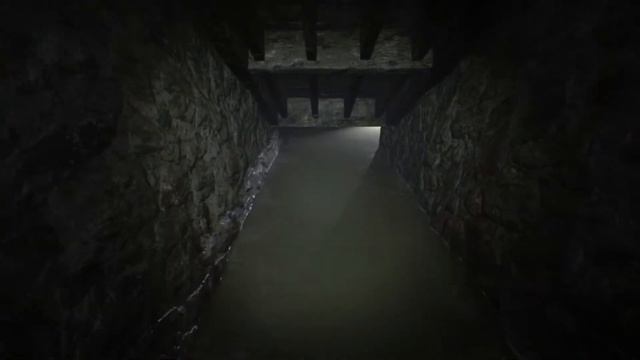 История Итона Уинтерсана. Игровой сериал по "Resident Evil 7 Biohazard". Серия №1. смотреть онлайн
