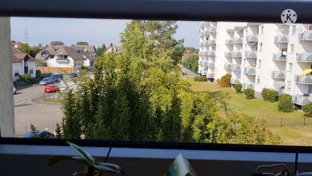 Наша жизнь в Германии ? соус с ? мёдом и с горчицей. это очень вкусно ? смотреть онлайн