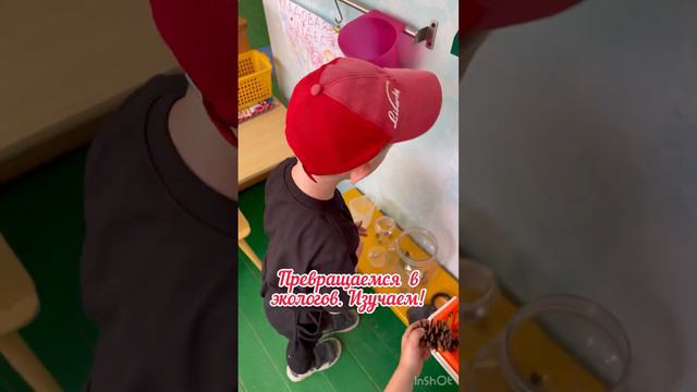День юнатского движения смотреть онлайн