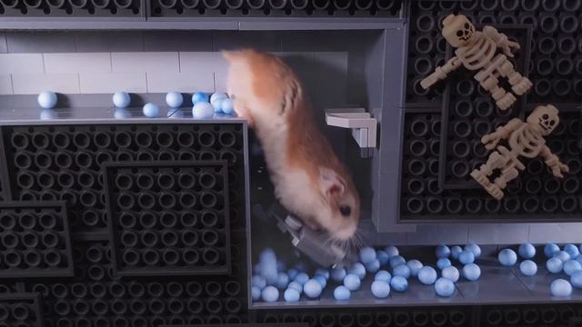 Major HAMSTER fights ZOMBIES in LEGO MINECRAFT VIRUS LAB смотреть онлайн