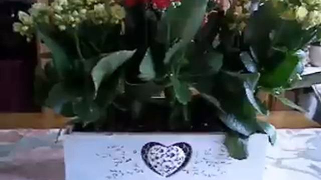 Beautiful dreamer - John Leyton - Beautiful dreamer 1963 смотреть онлайн