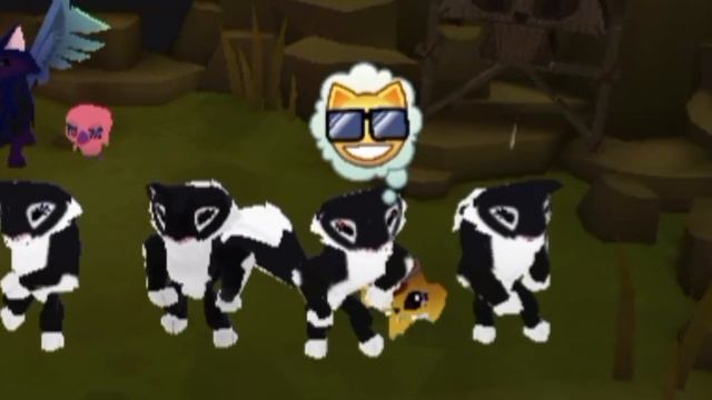 •✨Типы игроков Энимал Джема/Узнай себя? ✨• #animaljam #энималджем #видео #контент